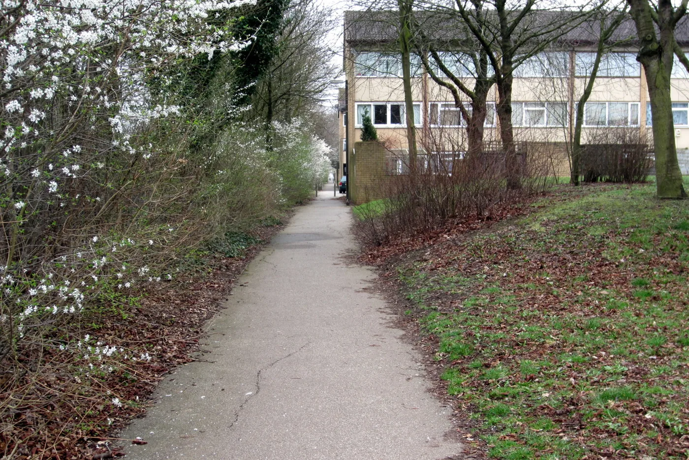 A footpath between houses in Fishermead, Milton Keynes. The picture does not show the incidents.
