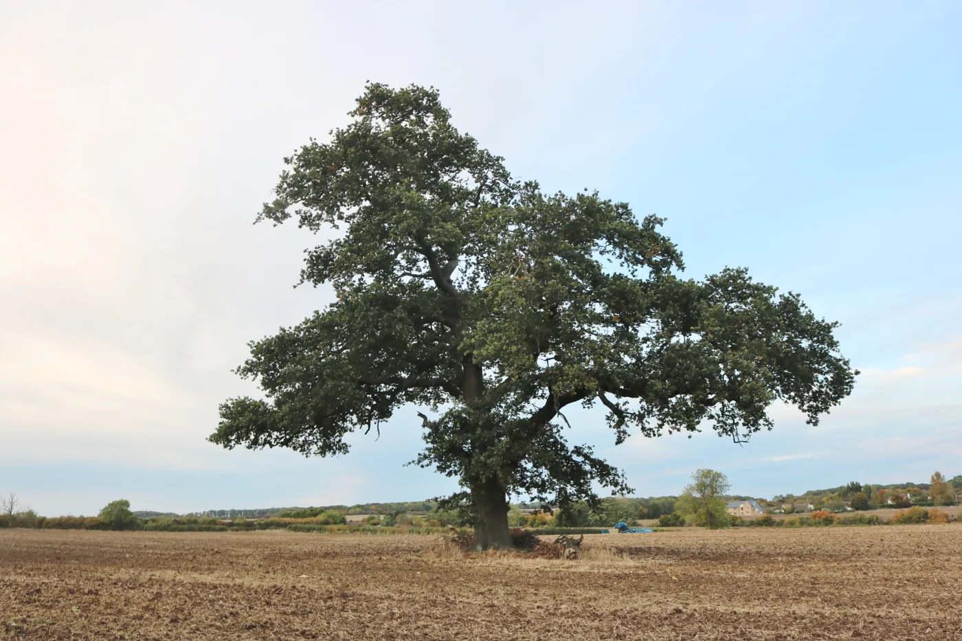 Arable land at Lavendon. The picture does not show the Green Hill site itself.